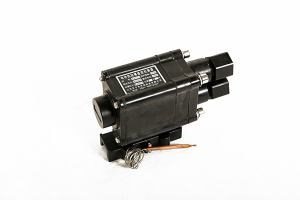 BJW-51 explosion-proof temperature controller